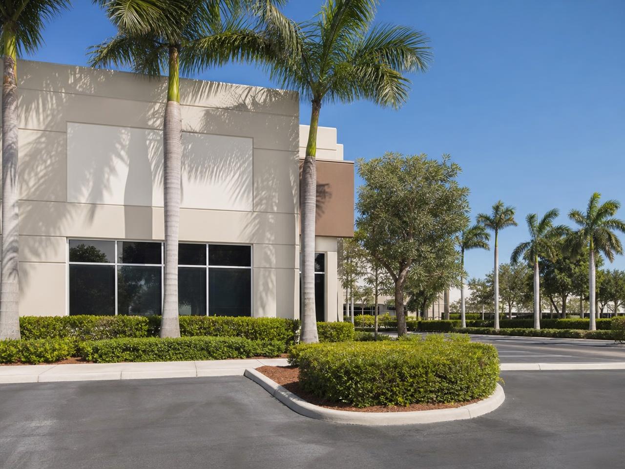 Maintained commercial office plaza landscape with palms and trimmed hedges