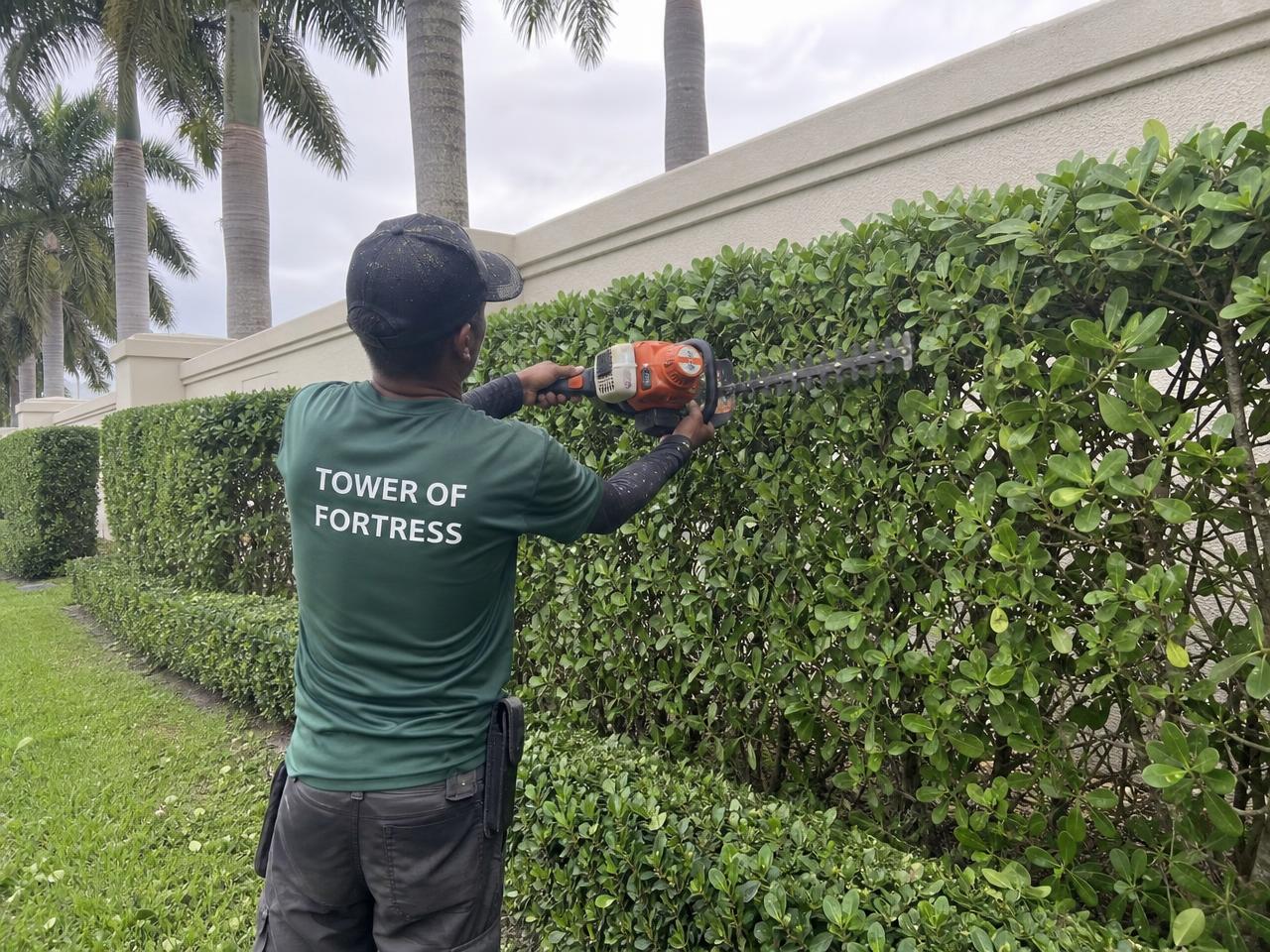 Crew member trimming a tall clusia hedge at a South Florida community wall
