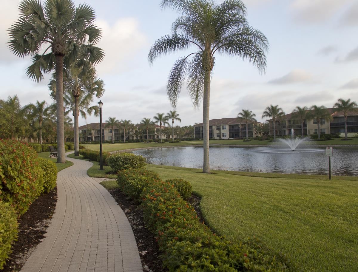 HOA community common area with lake, fountain, palms and mowed turf