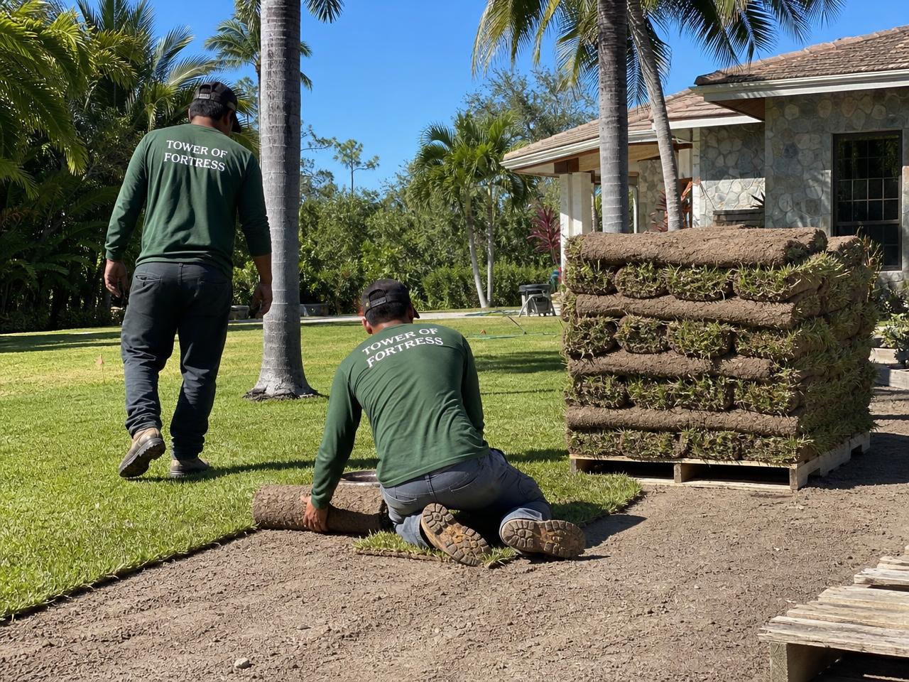 Crew installing new St. Augustine sod on a South Florida property